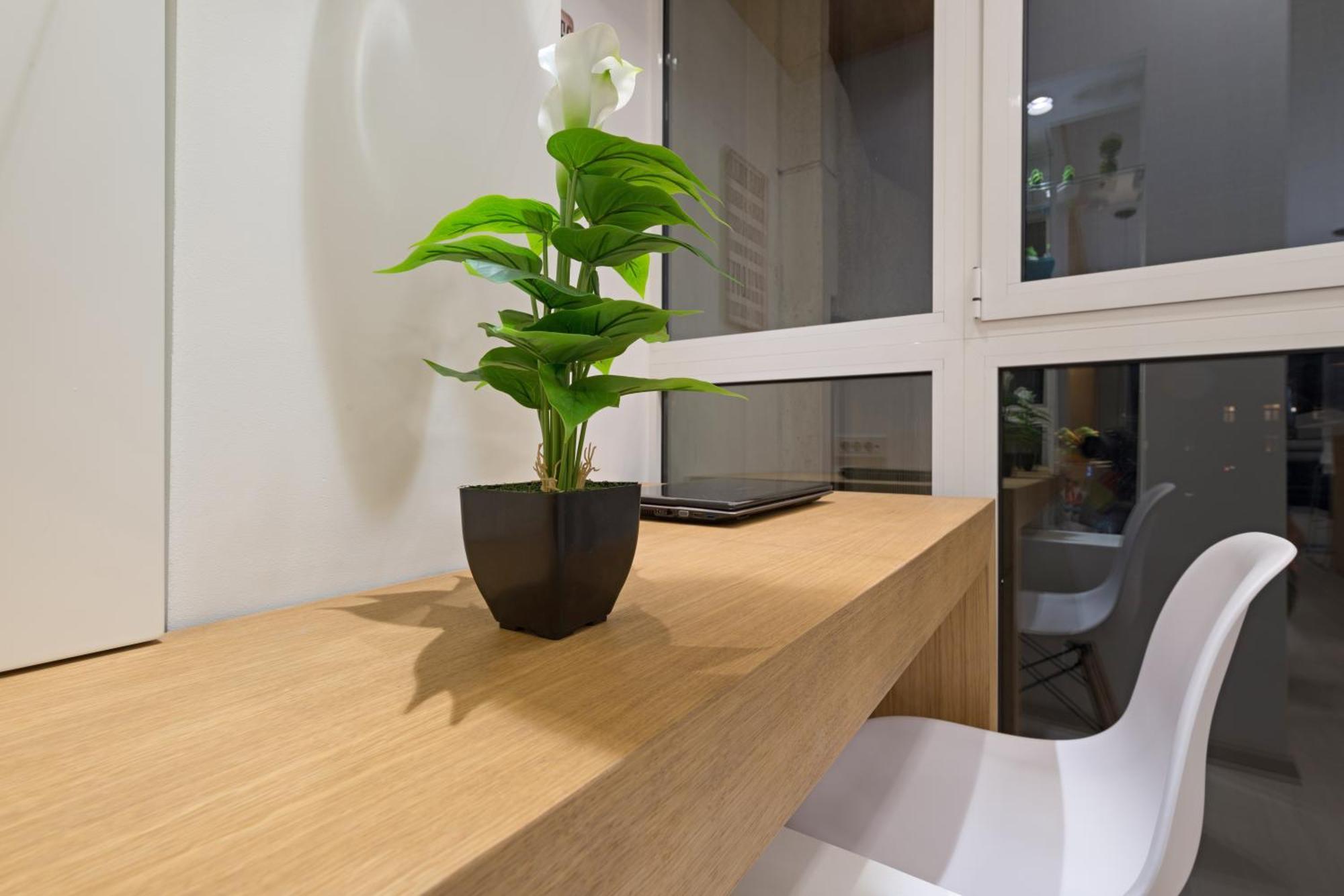 Vivio Luxury Apartment Belgrade Exterior photo